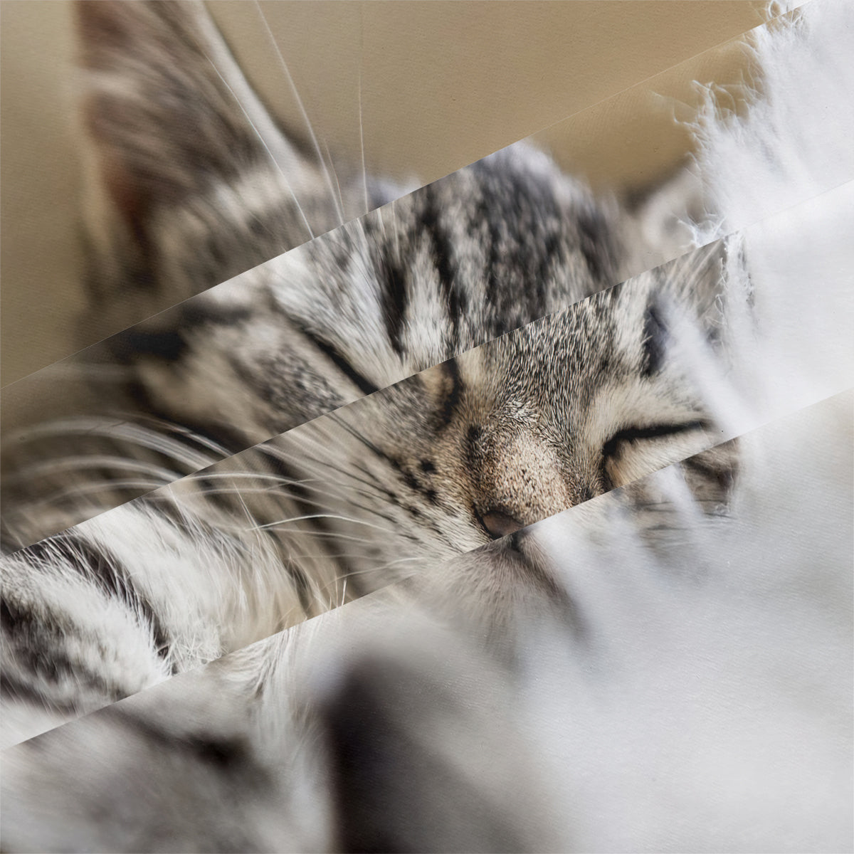 Cat Duvet Cover – Design 12 - view 4