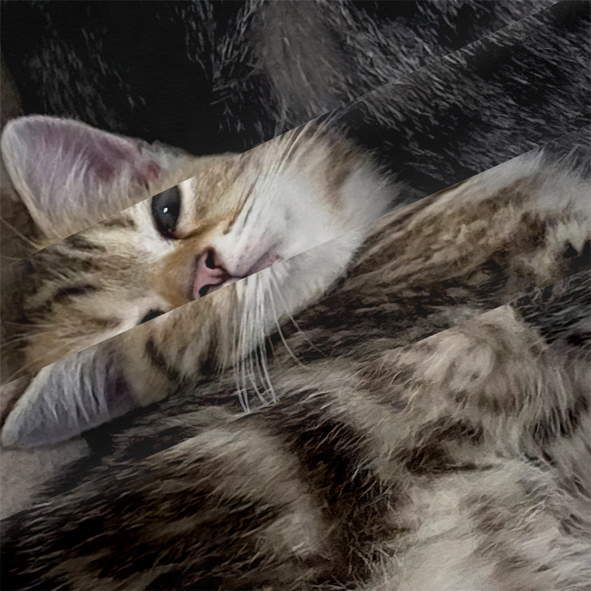 Cat Duvet Cover – Design 15 - view 4