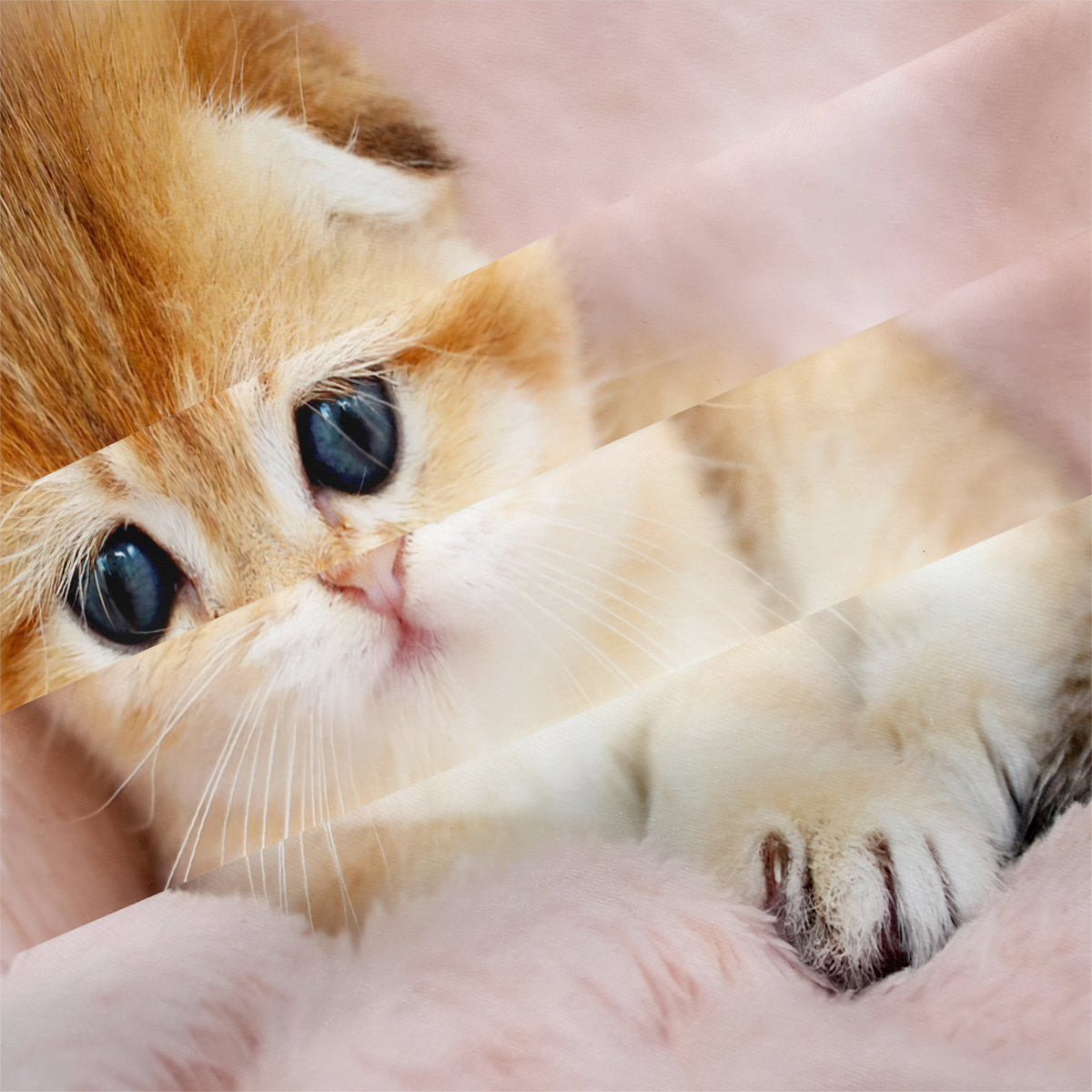 Cat Duvet Cover – Design 17 - view 4