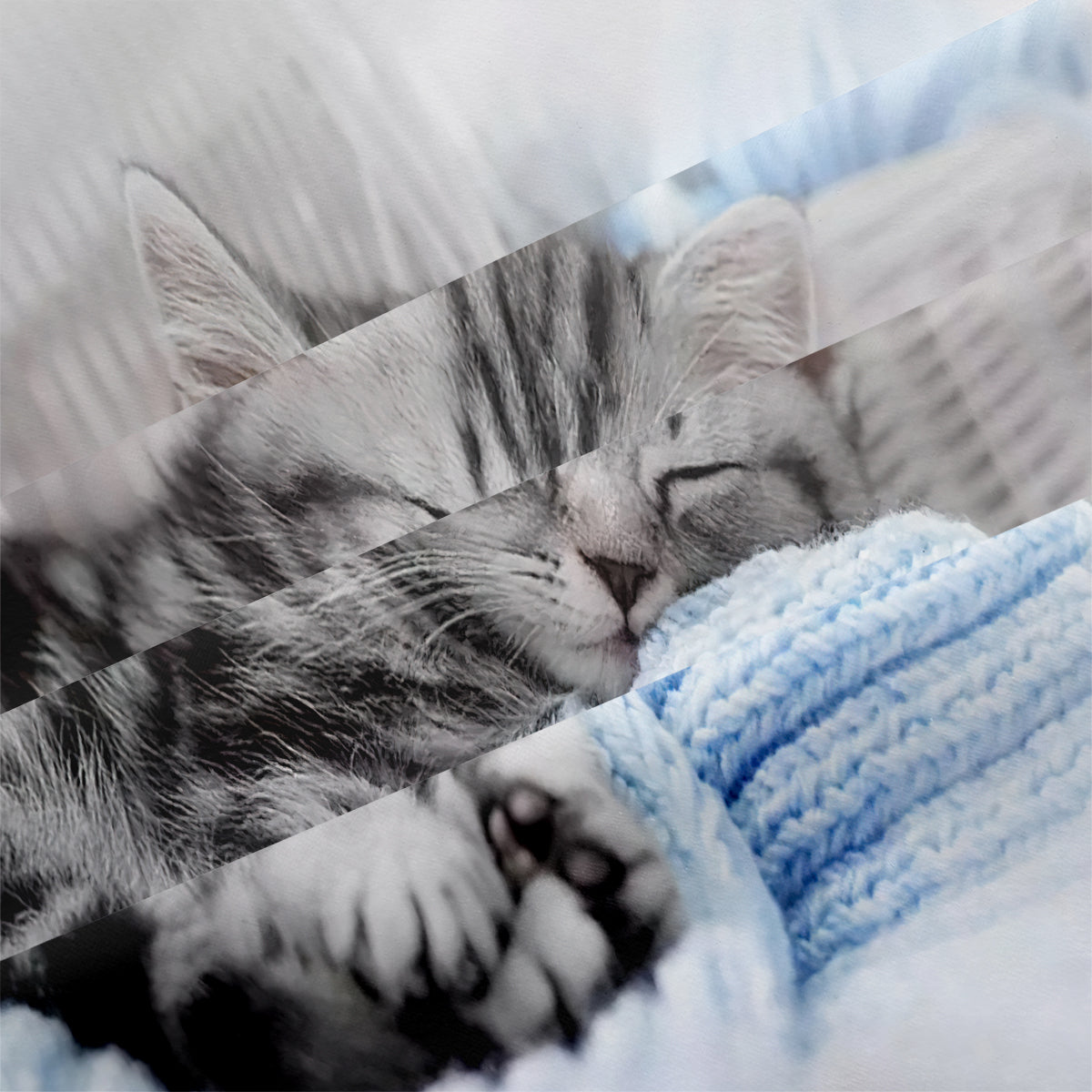 Cat Duvet Cover – Design 19 - view 4