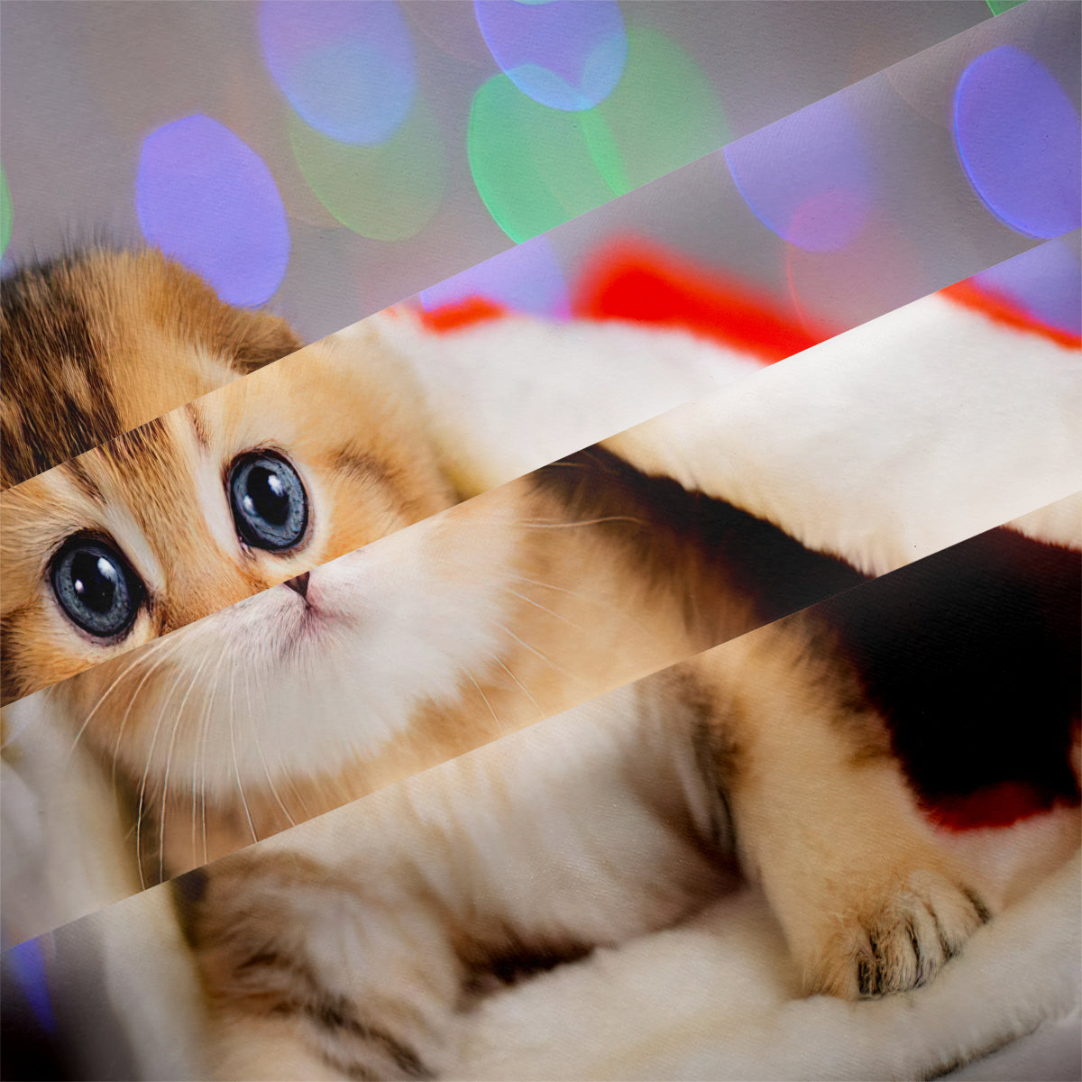 Cat Duvet Cover – Design 26 - view 4