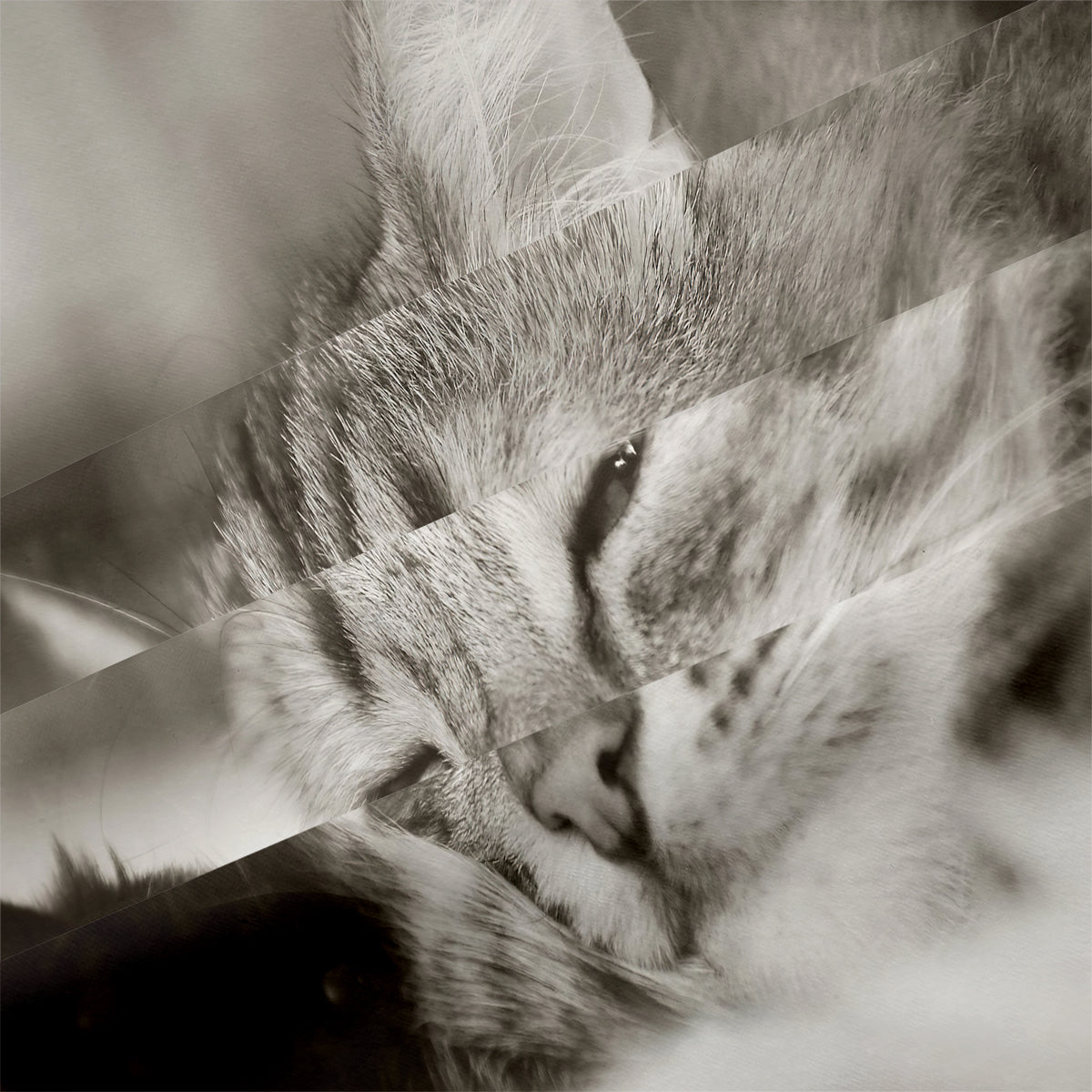 Cat Duvet Cover – Design 28 - view 4
