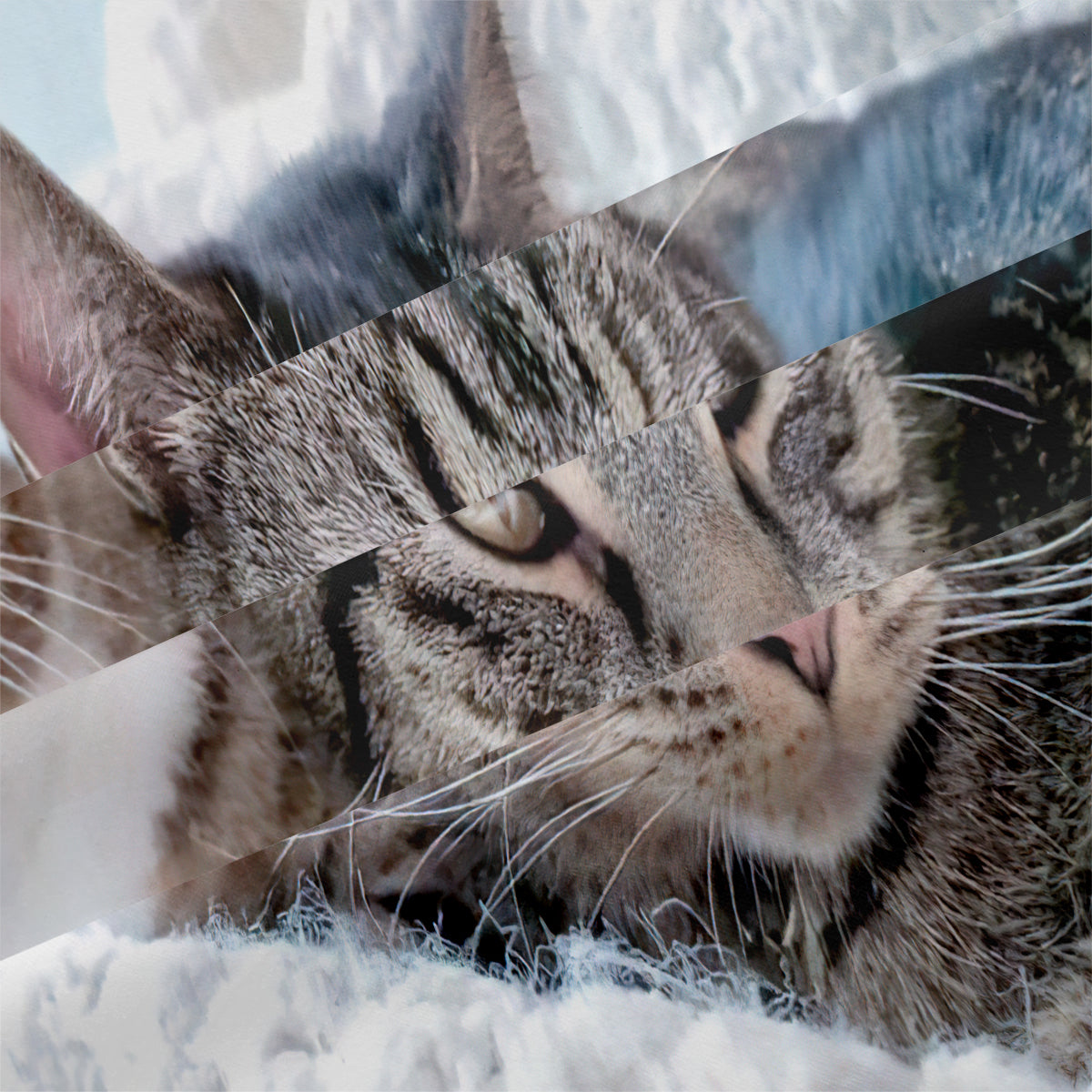 Cat Duvet Cover – Design 39 - view 4